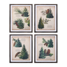  Pine Print Frame Set (Set of 4)